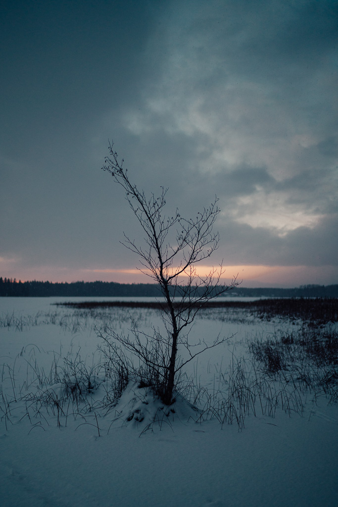Vinterskymning vid sjön
