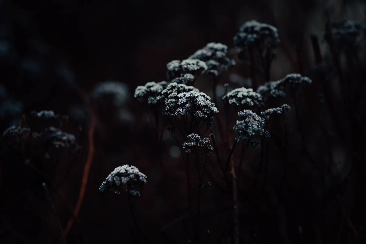 Dalarna · Norrland